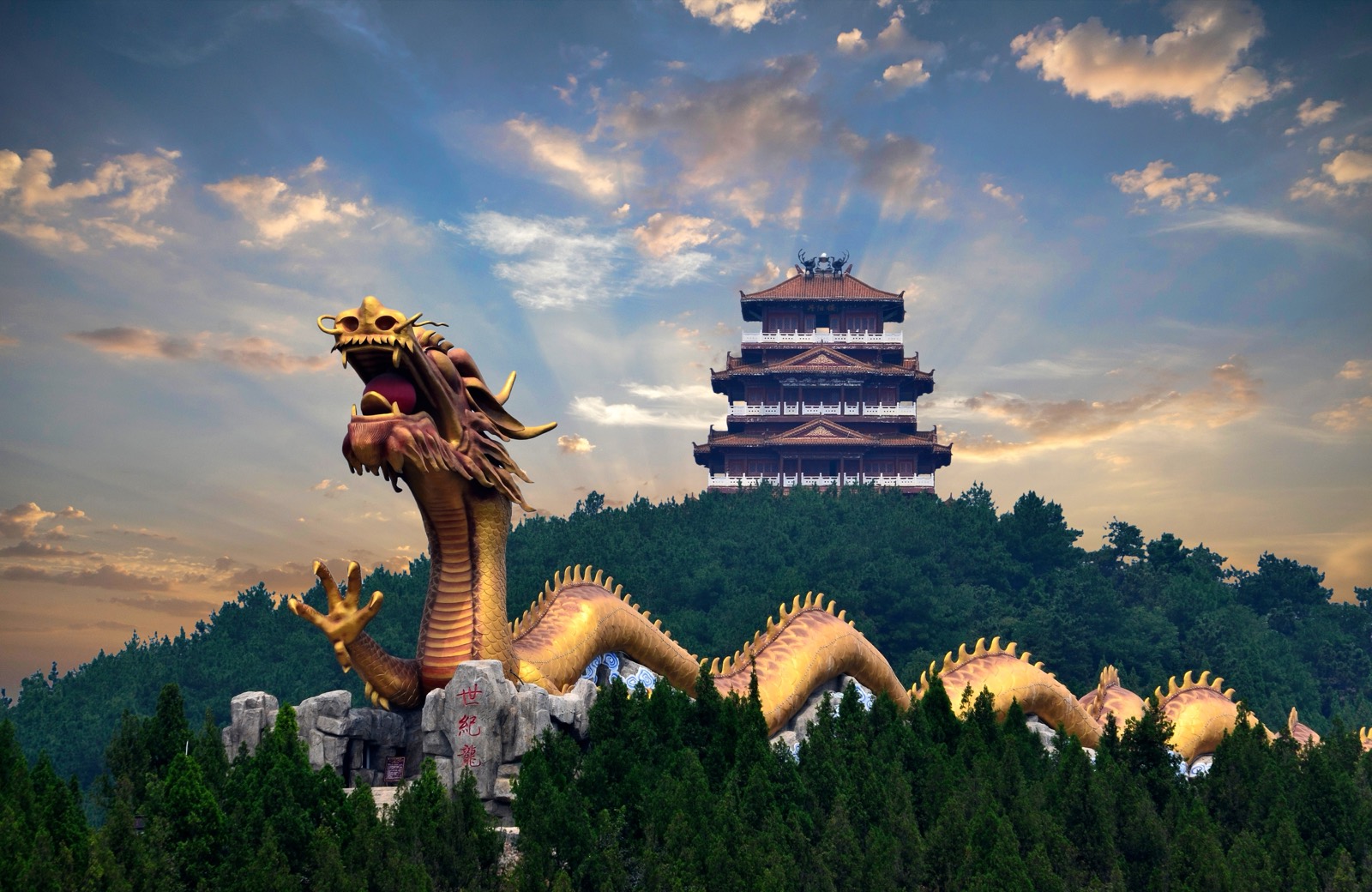 世纪龙 实景大图